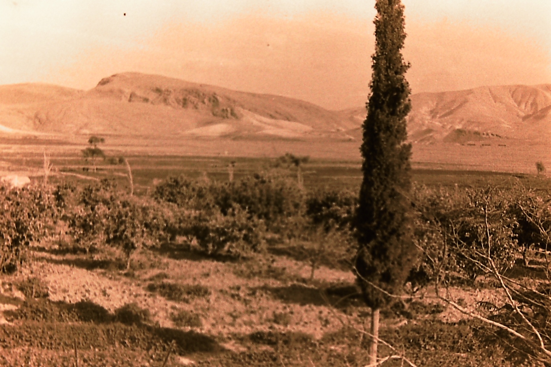 Fasayel — Al-Nimer family orchards and fields above Jericho